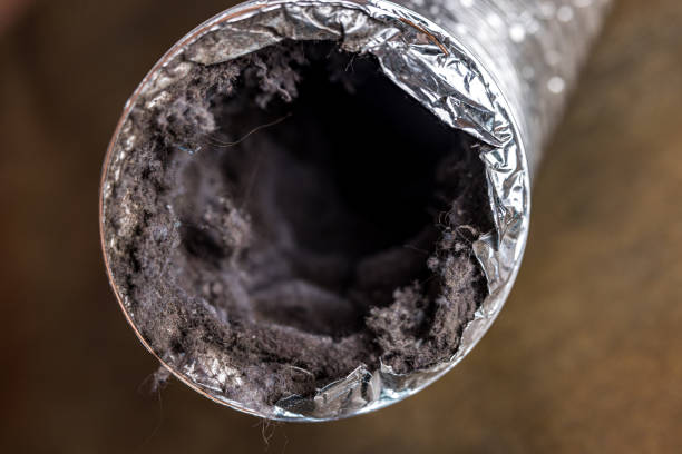 Best Air Duct Cleaning Near Me  in Merryville, LA