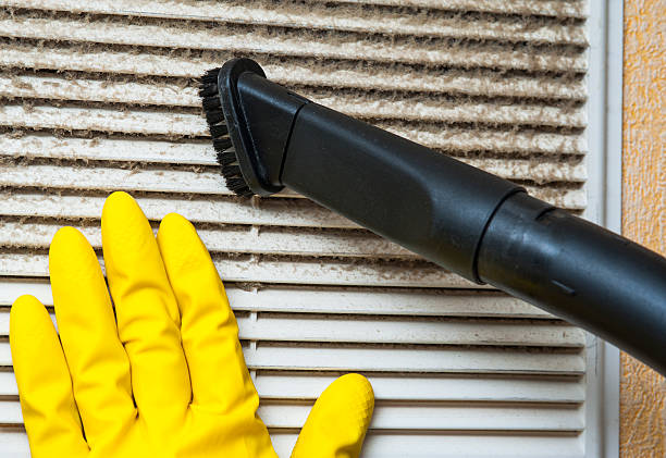 Professional Airduct Cleaning in LA